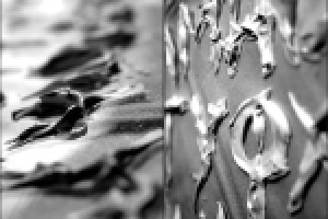 Работа 1772385