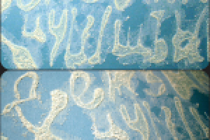 Работа 1772390