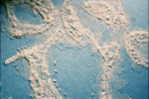 Работа 1772378