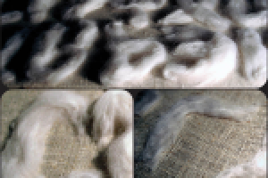 Работа 1772388