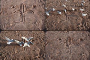 Работа 1772930