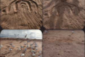 Работа 1772929