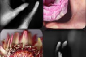 Работа 1772924