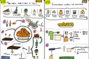 Работа 1772681