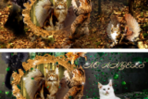 фотоколлаж на главную страницу сайта по продаже мейкунов