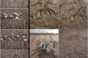 Рисунок на песке