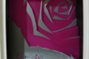 Витрины для салона красоты