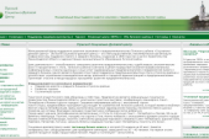 Разработка сайта "Лужского социально-делового центра"