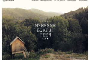 Работа 2981032