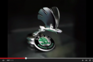 реклама открытие оф. диллера skoda Арена Моторс в Новокузнецке