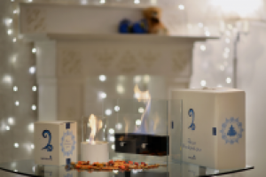 Биокамины "Тепло в каждый дом"