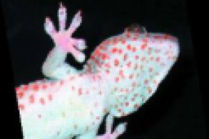 ENG - UKR - Nanotechnology - an Introduction