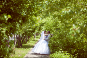 Работа 2673439