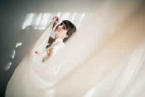 Работа 2673503