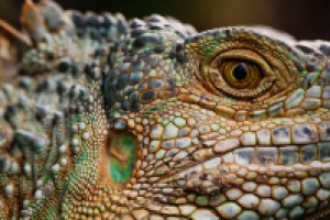 Работа 2673549