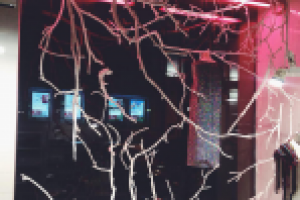 Оформление Витрины КМ20