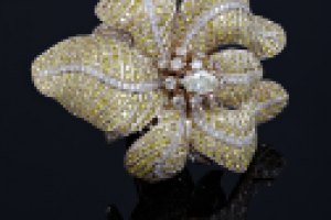 Фотосессия Ювелирных изделий