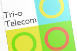 Планирование рекламной компании "Три О!"