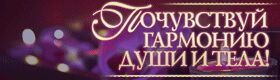 img3248324.png