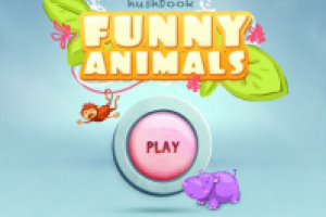 Funny Animals