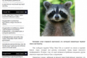 Новостная лента города Уфа.