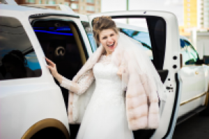 Работа 2720751