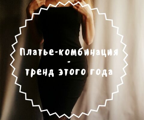img3236169.png