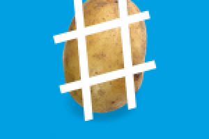 #посадикартошку