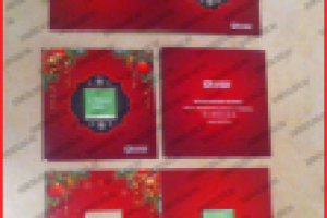 Работа 2606260