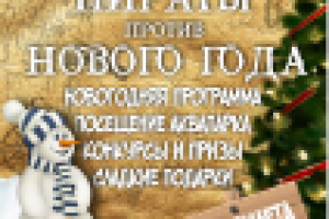 Новогодний Roll Up аквапарк