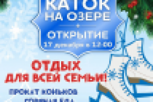 Новогодний Roll Up каток