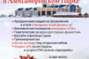 Новогодний Roll Up