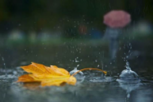 Что символизирует дождь в поэзии?