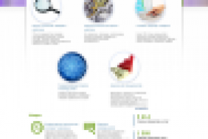 Сайт IT - компании