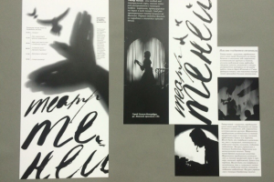 Плакат и буклет "Театр теней"