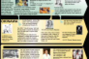 Работа в Illustrator