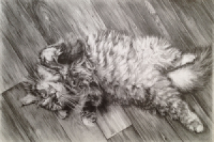 Рисунок карандашом