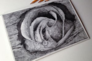 Рисунок карандашом