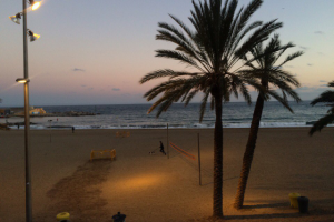 Работа 3246079