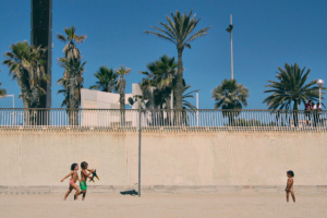 Работа 3246075