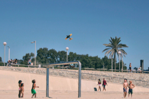 Работа 3246073