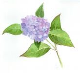 img2561257.png