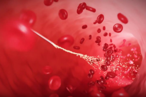 Внутри организма