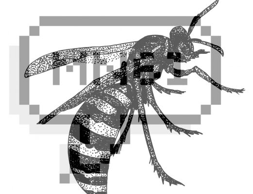 img3243733.png