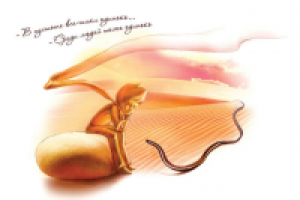 Иллюстрация к книге "Маленький принц" Антуан де Сент-Экзюпери.