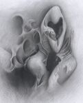 img2254620.png