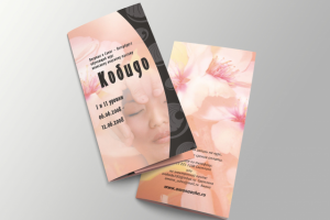 Евробуклет "Кобидо"