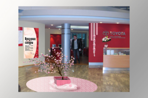 Оформление автосалона к мероприятию