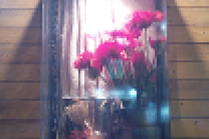 витрина "Гурмэ"