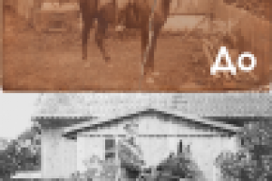 Работа 2836669